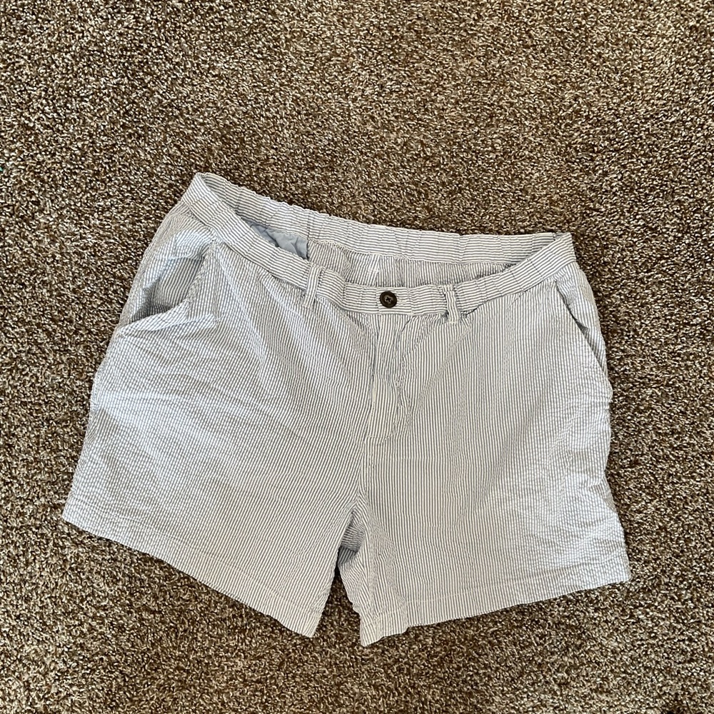 Men’s Blue Striped Chubbies Shorts